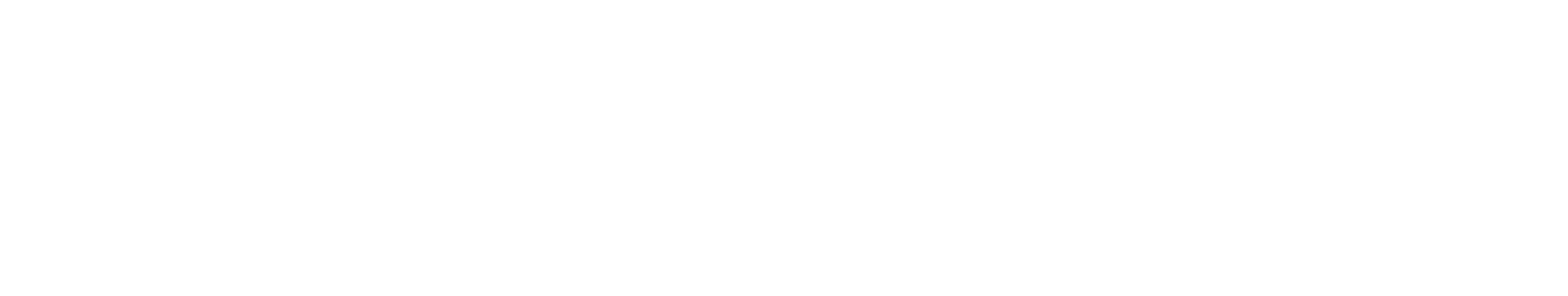 Organidados - IA guiada por dados